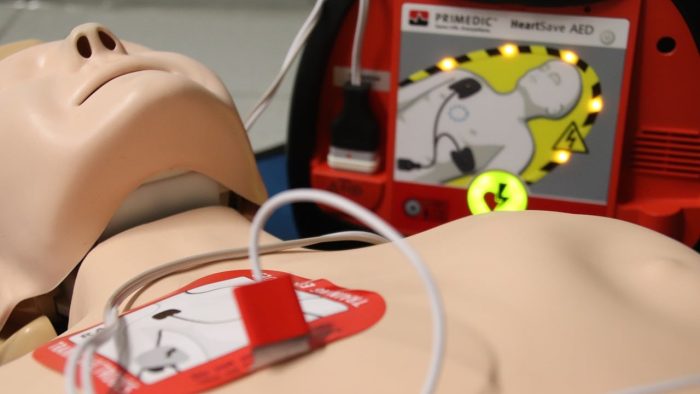 Formation PSC1 Secourisme 1 secourisme e1674815421719